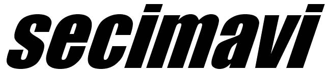 https://www.secimavi.org/